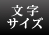 文字サイズ